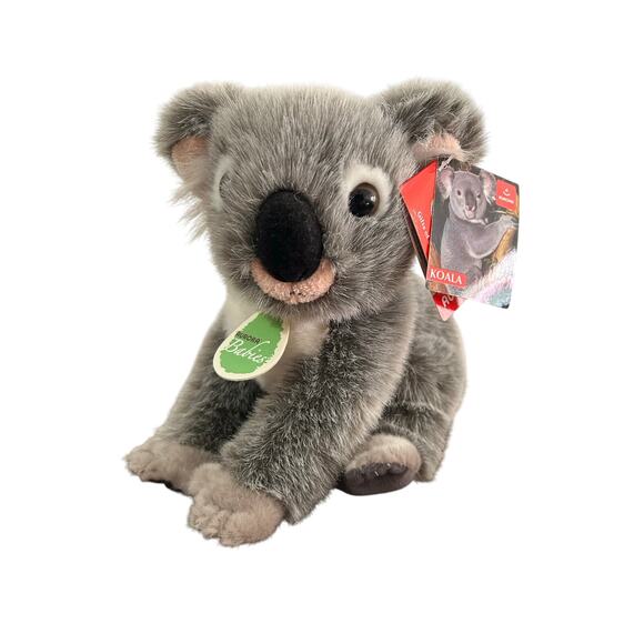 Aurora Babies Koala Bear Plush - Picture 1 of 6